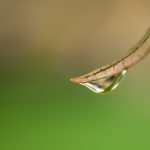 皇冠足彩的魅力:揭示体育博彩背后的游戏规则与玩法 7a8lwo8