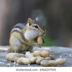 如何选择适合自己的德州棋牌游戏平台并提高胜率 91gn5g14q