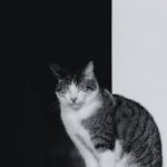 如何顺利完成78必发365登录,享受畅快游戏体验 couk8ujs