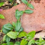 如何通过贝博竞彩app 实现精准投注与盈利策略 o6vfjhzx