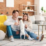 如何顺利完成凯旋门国际app下载并享受精彩游戏体验 ohfy1q96az